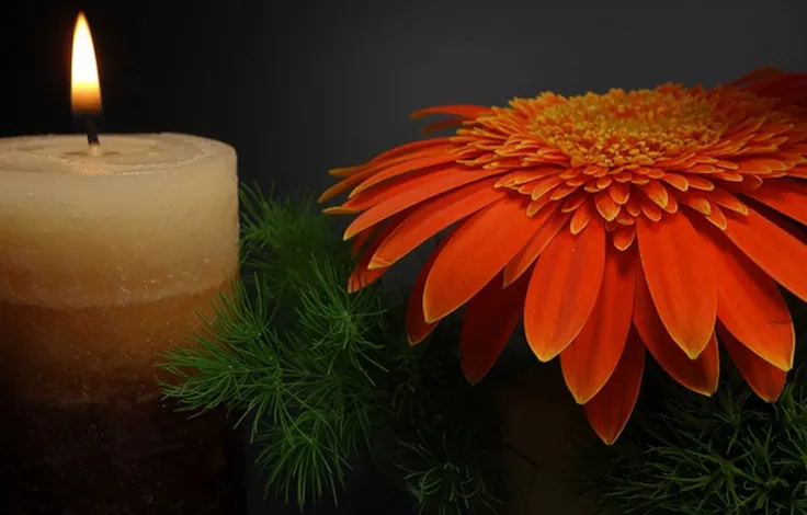 Brennende Kerze neben einer orangefarbenen Gerbera