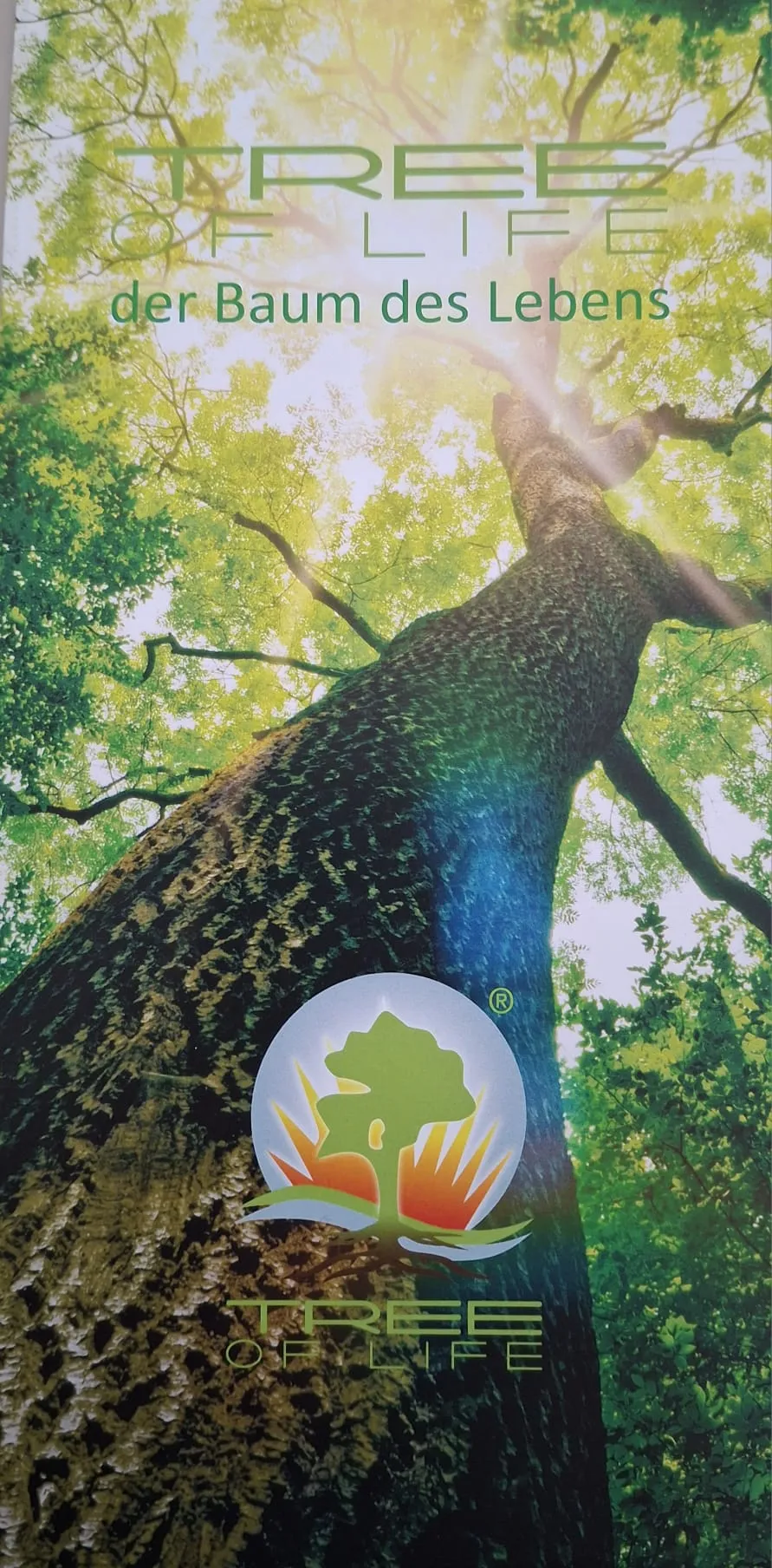 Aufsteller „Tree of Life – der Baum des Lebens“: Blick an einem Baumstamm hinauf in eine sonnendurchflutete Krone, darunter das Signet des Anbieters