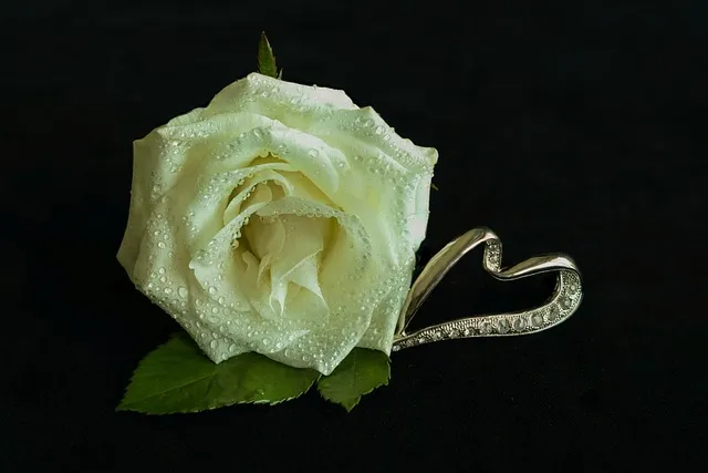Weiße Rose mit Tautropfen neben einem silbernen Herz